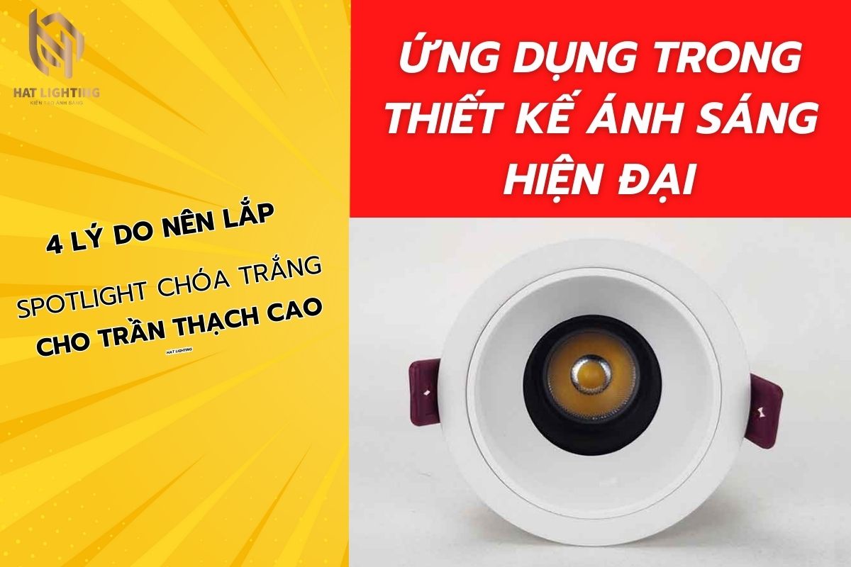 Tại sao spotlight chóa trắng là "chân ái" cho trần thạch cao? Kinh nghiệm từ HAT Lighting