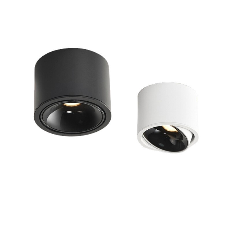 ĐÈN ỐP NỔI CAO CẤP LANI